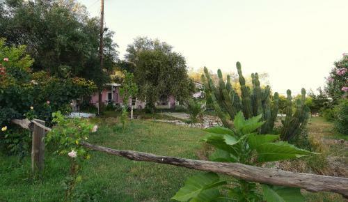 Hostal Ktima Theofilos - Frideriki