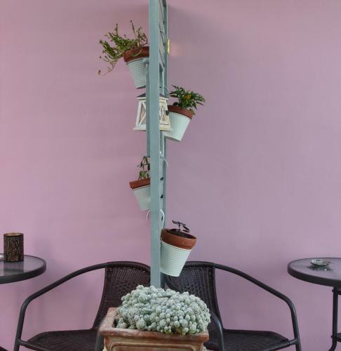 Hostal Ktima Theofilos - Frideriki