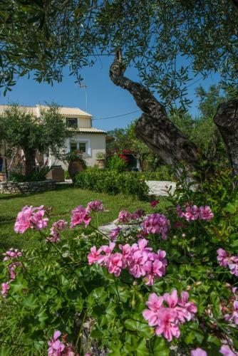 Corfu Villa Linea By Hotelius