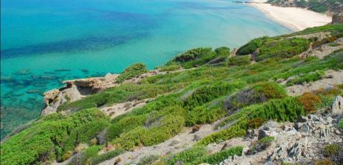 Apartamento Domus Serci