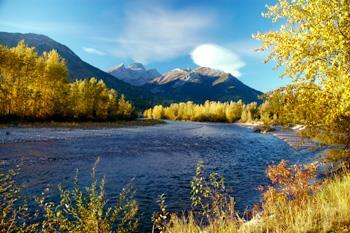 Hotel Best Western Fernie Mountain Lodge