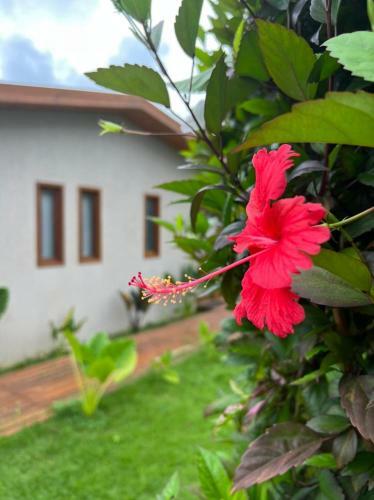 Hotel Pousada Maresia