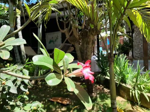 Posada Pousada Das Flores