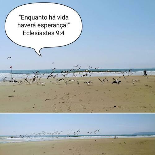 Apartamento Residencial Lumar