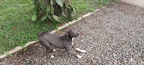 Quarto Su�te Itapo� - Sc