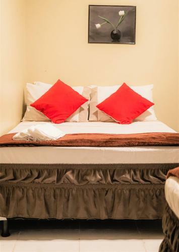 Hotel Pousada Mitologia Algodoal