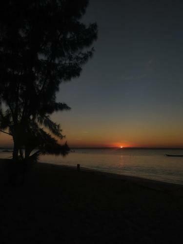 Apartamento Pousada Dos Cardeais