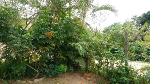 Hostal Solar Del Mar
