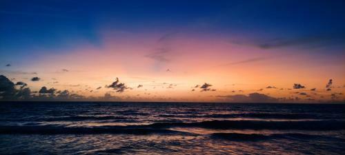 Bed & Breakfast Wood Beach House Taipu de Fora