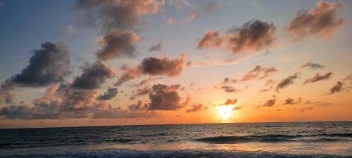 Bed & Breakfast Wood Beach House Taipu de Fora