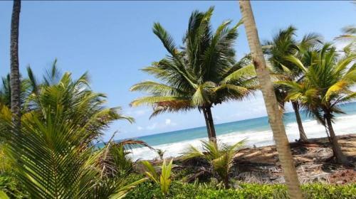 Posada Pousada Obedemar - Taipu De Fora, Barra Grande, Mara�-ba