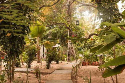 Hostal Prana Eco Villa