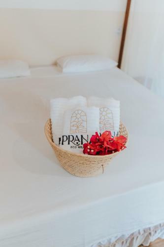 Hostal Prana Eco Villa