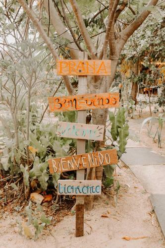 Hostal Prana Eco Villa