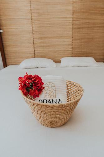 Hostal Prana Eco Villa