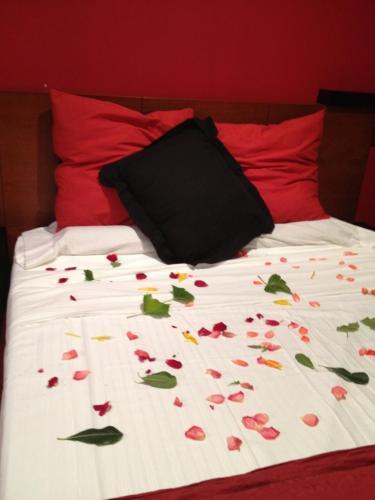 Hostal Coraz�n De Madrid