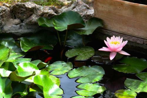 Hotel S�hostal D�esporles