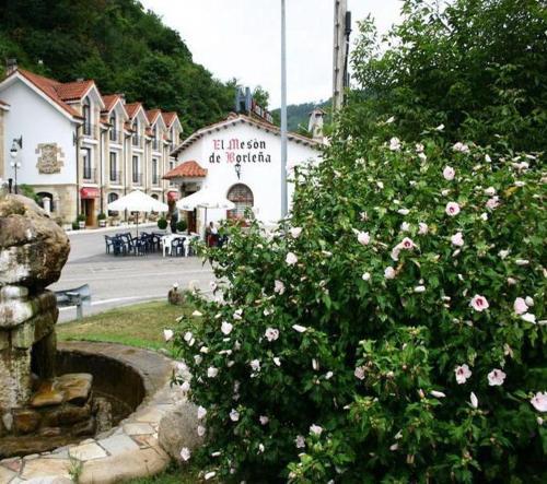 Hotel De Borle�a