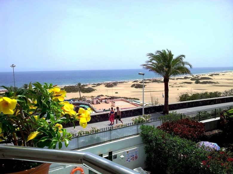Apartamentos Don Palom�n