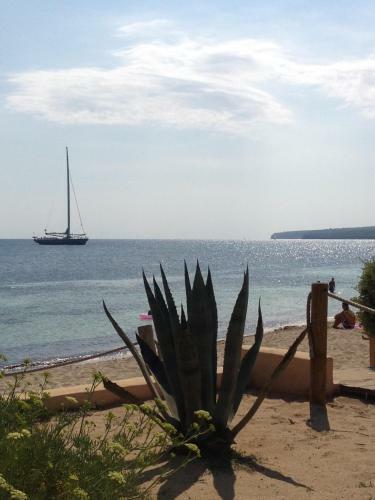 Hotel Ca Mar�