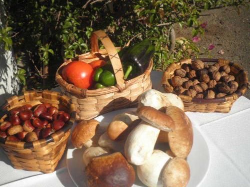 Hotel Restaurante Marronc�n