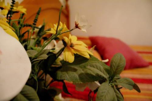 Hostal Ram�n Y Cajal
