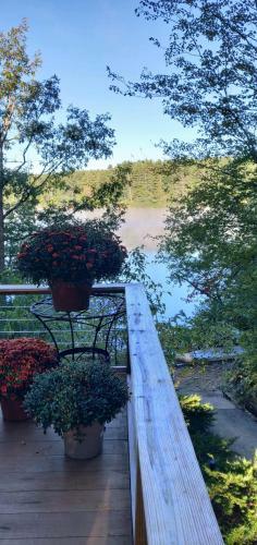 Lake Side Oasis