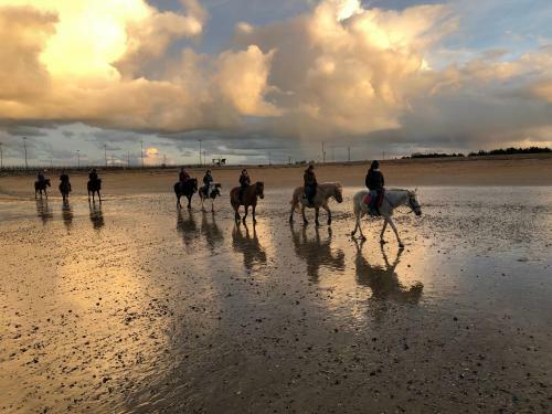 La Plage Au Bout Du Jardin / Sword Beach Cottage