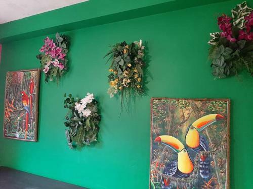 La Maison Aux Fleurs-botanica