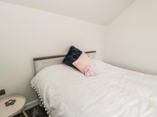 20 Parc Delfryn