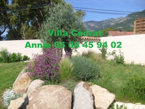 Villa C�drat