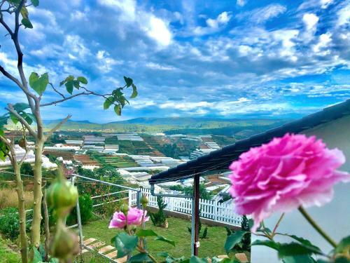 Lodge C�nh ??ng M�y Homestay ?� L?t