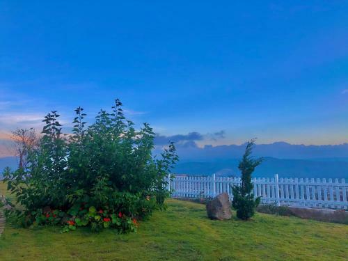 Lodge C�nh ??ng M�y Homestay ?� L?t