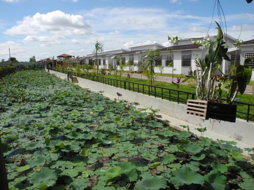 Hotel Ry's Lotus Resort D'angkor