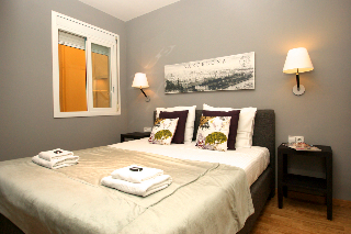 Paseo De Gr�cia Apartments