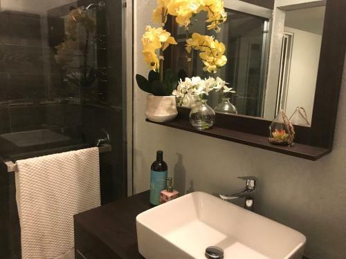 Apartamento Abacus Jamaica The Zana Suites