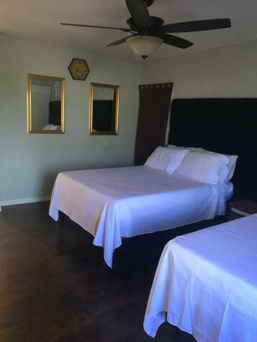 Apartamento Abacus Jamaica The Zana Suites