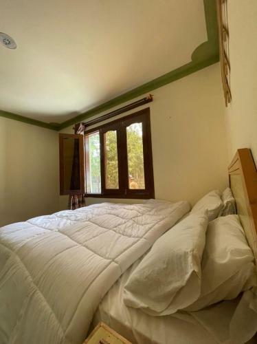 Hostal Halga Guest House