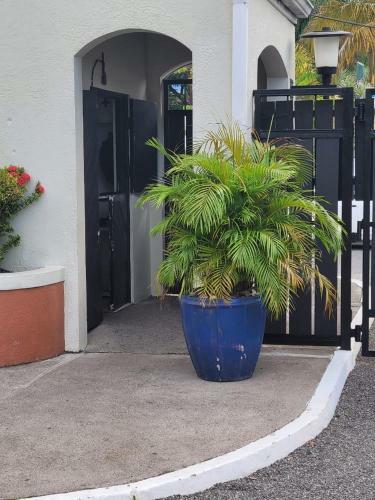 Ocho Rios Apartment; Fisherman's Point