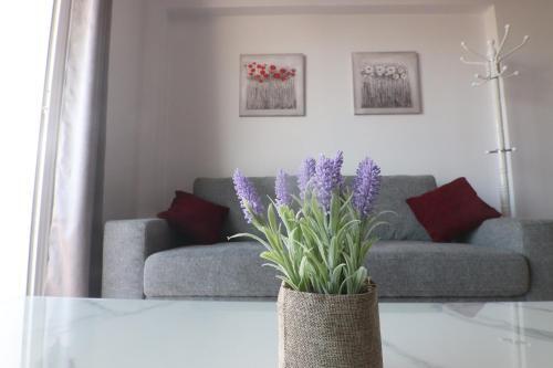 Amelia Two Bedroom Apartment - 202