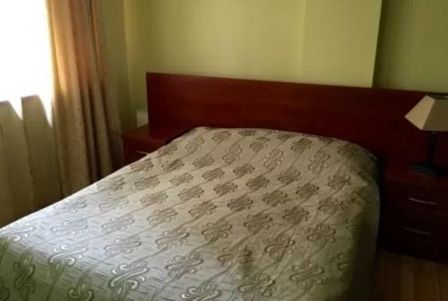 Comfortable Apartment On Baghramyan Street