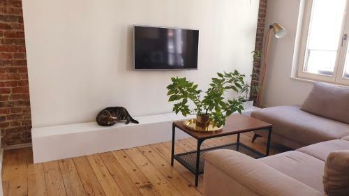 Apartamento Areuhalf