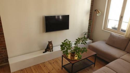 Apartamento Areuhalf