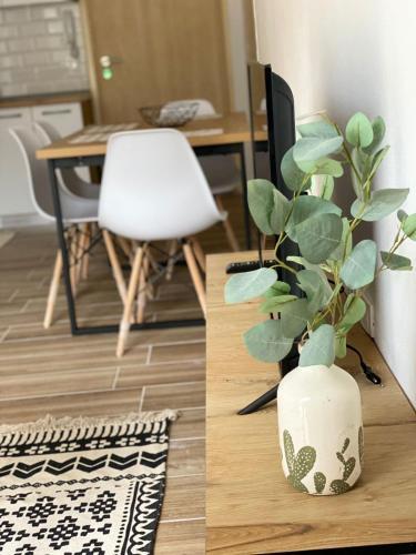 Heili's Cozy Apartment 2