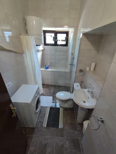 Apartment Viktor
