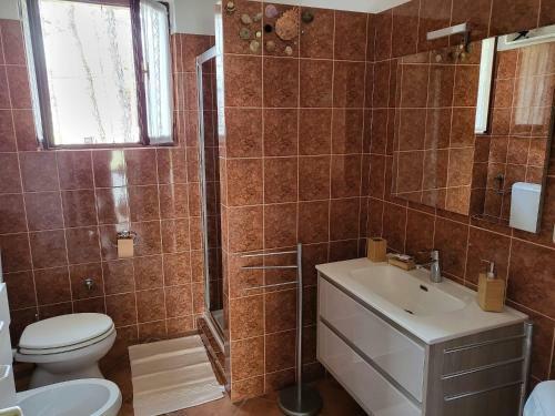 Apartment Zvijezda