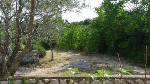 Apartmani Ana Schon