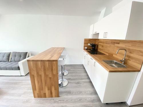 Apartment 3 Sovice