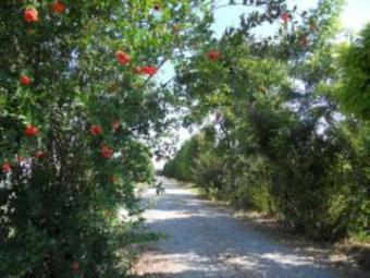 Bed & Breakfast Il Giardino Di Rebecca