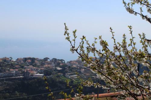 Bed & Breakfast Guest House Mal�